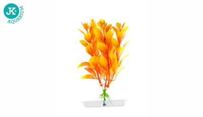 JK Akvarijna rastlina Orange Ludwigia 13-16 cm