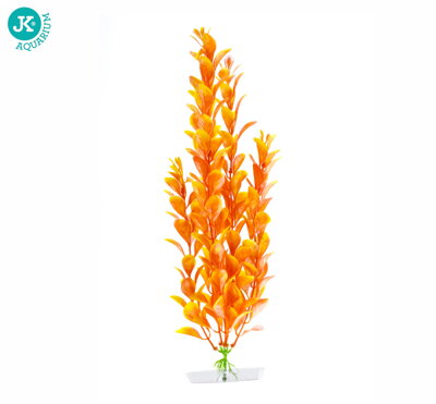 JK Akvarijna rastlina Orange Ludwigia 25-28 cm