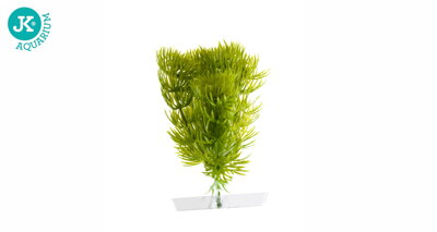 JK Akvarijna rastlina Anacharis 13-16 cm