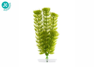 JK Akvarijna rastlina Anacharis 25-28 cm