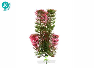 JK Akvarijna rastlina Red Anacharis 13-16 cm