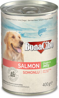 BonaCibo Salmon Chunks in Jelly