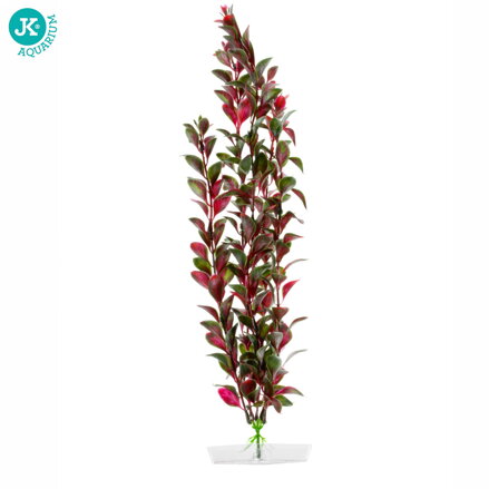 JK Akvarijna rastlina Red Ludwigia 38-43 cm