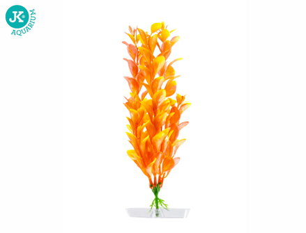 JK Akvarijna rastlina Orange Ludwigia 18-21 cm