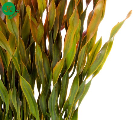 JK Vallisneria kameň, akvarijna plastová rastlinka