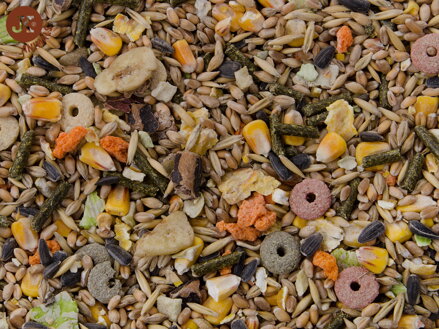 Dajana – COUNTRY MIX, Hamster 500 g, krmivo pre škrečky