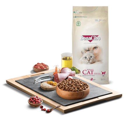 BonaCibo Adult Cat Chicken with Anchovy & Rice