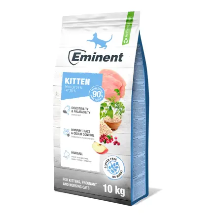 Eminent Cat Kitten 