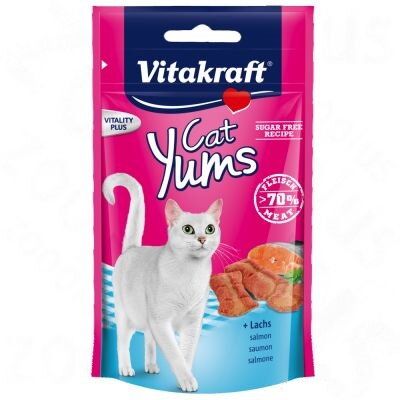 Vitakraft Yums Cat - Salmon 40g