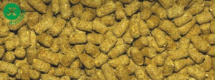 Dajana Tortoise sticks granulát 250 ml, 1000 ml