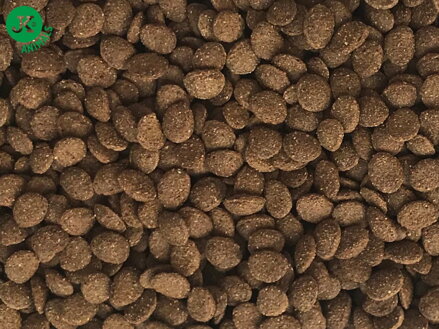 Dajana Turtle chips vodná korytnačka 250 ml, 1000 ml