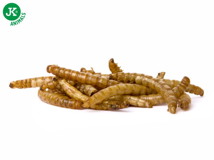 Sušenie múčne červy JK Dried Mealworms vo vrecku, 80 g, (Tenebrio Molitor)