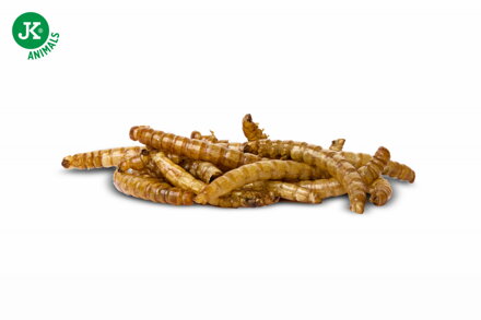 Sušenie múčne červy JK Dried Mealworms vo vedre, 80 g, (Tenebrio Molitor)