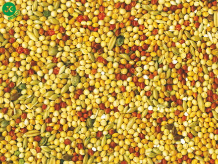  Tropifit Budgie, andulka – obilné zrná a trávne semená, 700 g