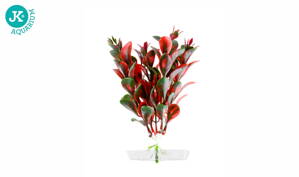 JK Akvarijna rastlina Red Ludwigia 13-16 cm