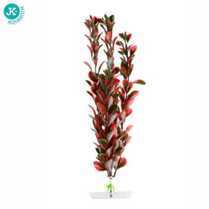 JK Akvarijna rastlina Red Ludwigia 25-28 cm