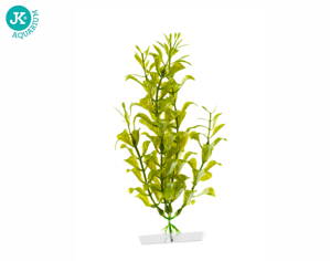 JK Akvarijná rastlina Hygrophila 18-21 cm