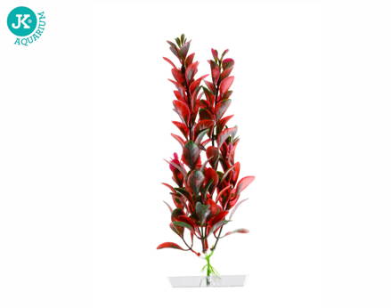 JK Akvarijna rastlina Red Ludwigia 18-21 cm