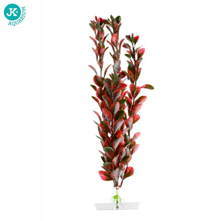 JK Akvarijna rastlina Red Ludwigia 25-28 cm