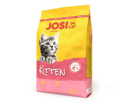 JosiCat Cat Kitten
